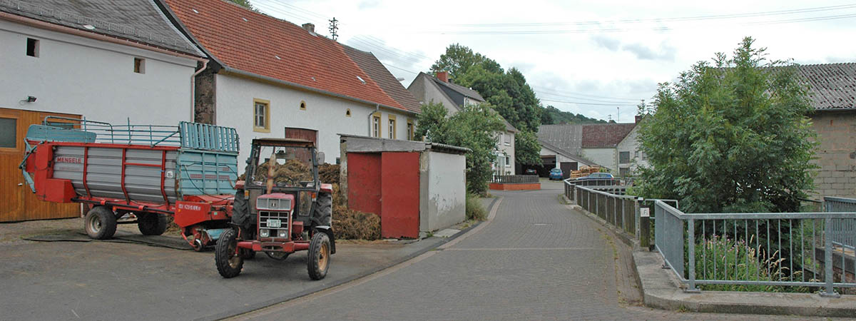  Mettweiler Hunsrück