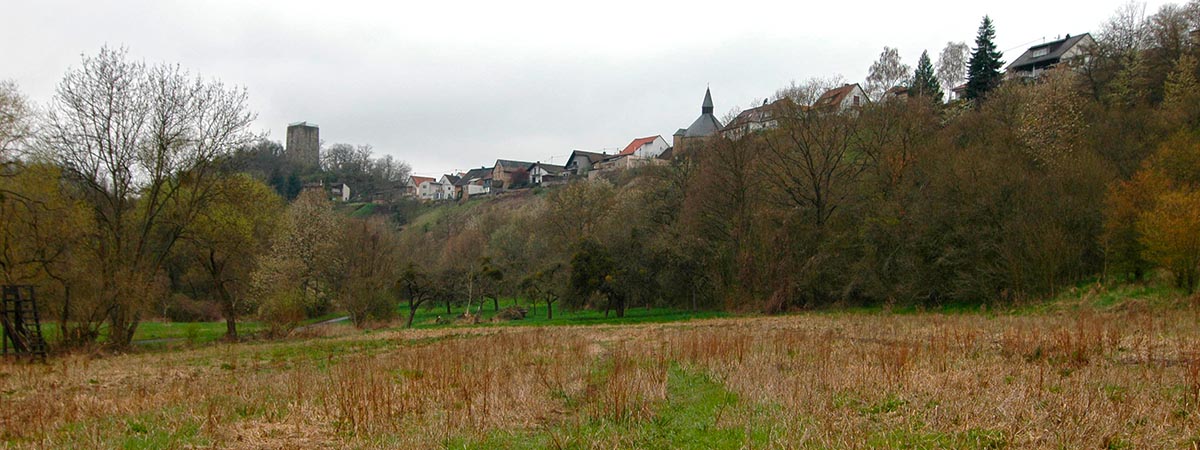 Burgsponheim Hunsrück 