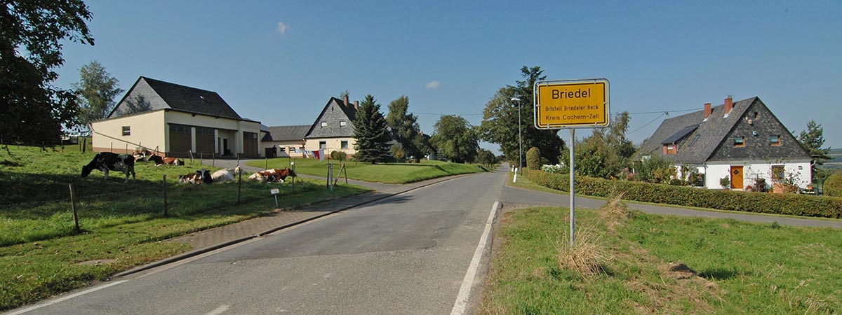 Briedeler Heck Hunsrück 