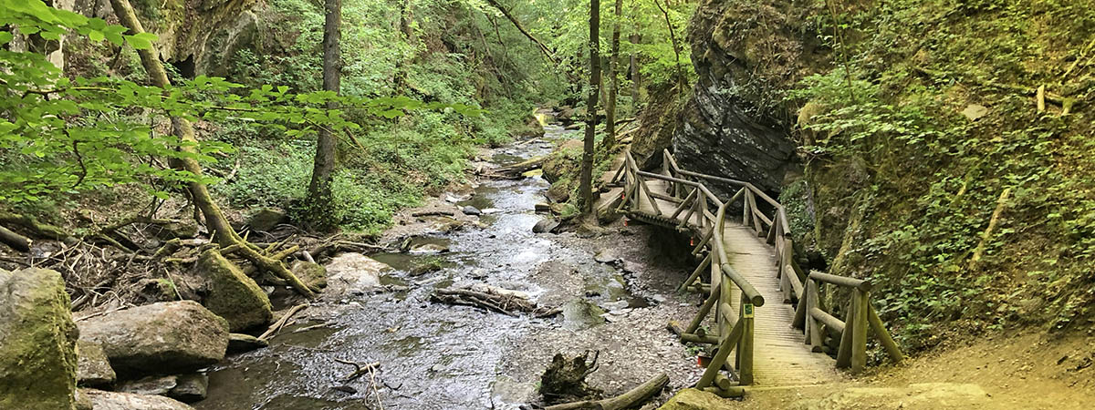 Ehrbachklamm Hunsrück 