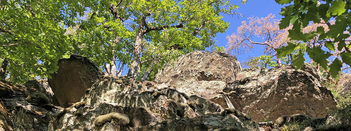 Ehrbachklamm Hunsrück 